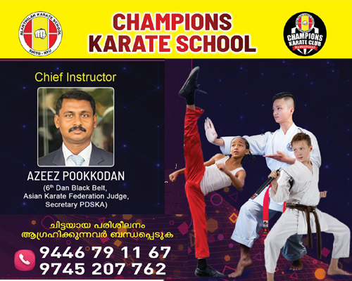 Champions Karate School