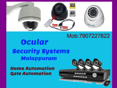 Ocular Security System